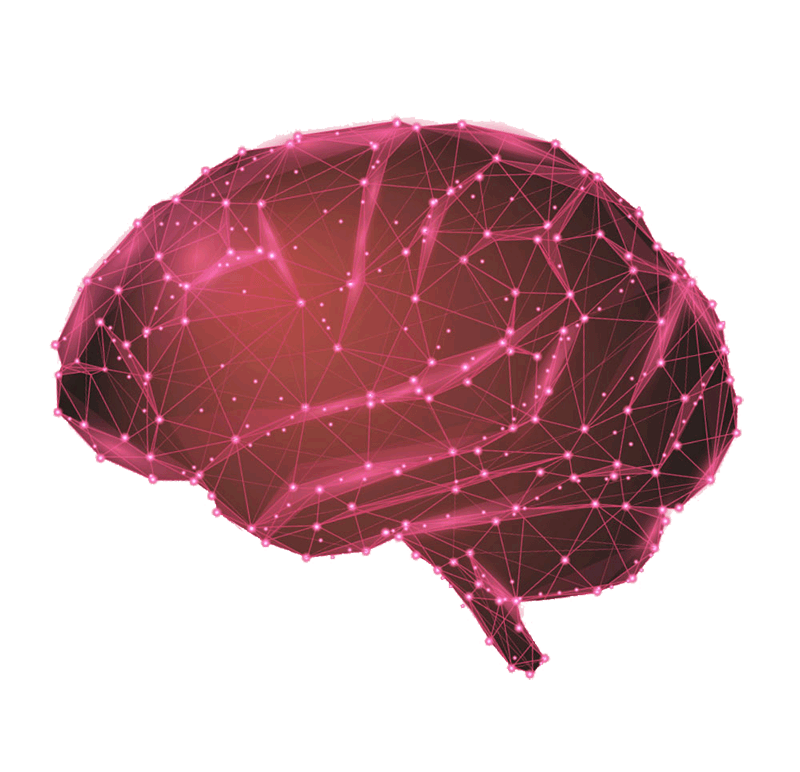 DataHalo-brain-side-image-800-transparent
