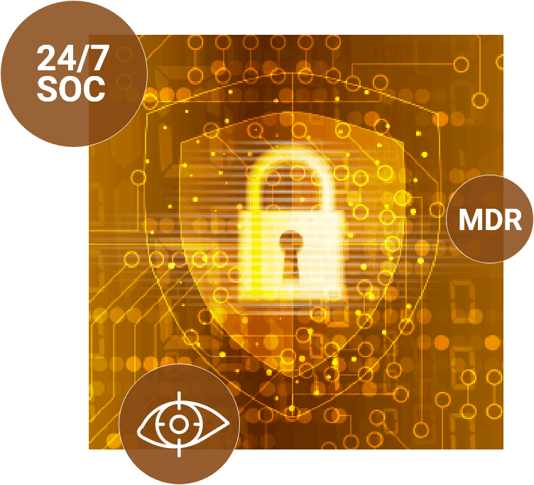 NetPulse-Image2_752x683