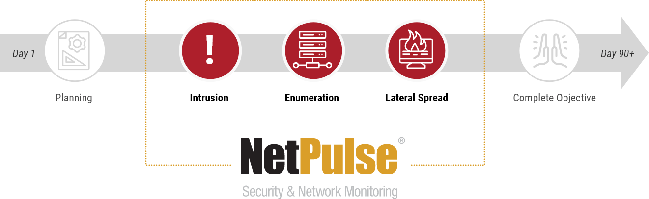 NetPulse_Timeline_1321x406 NetPulse_Timeline_1321x406