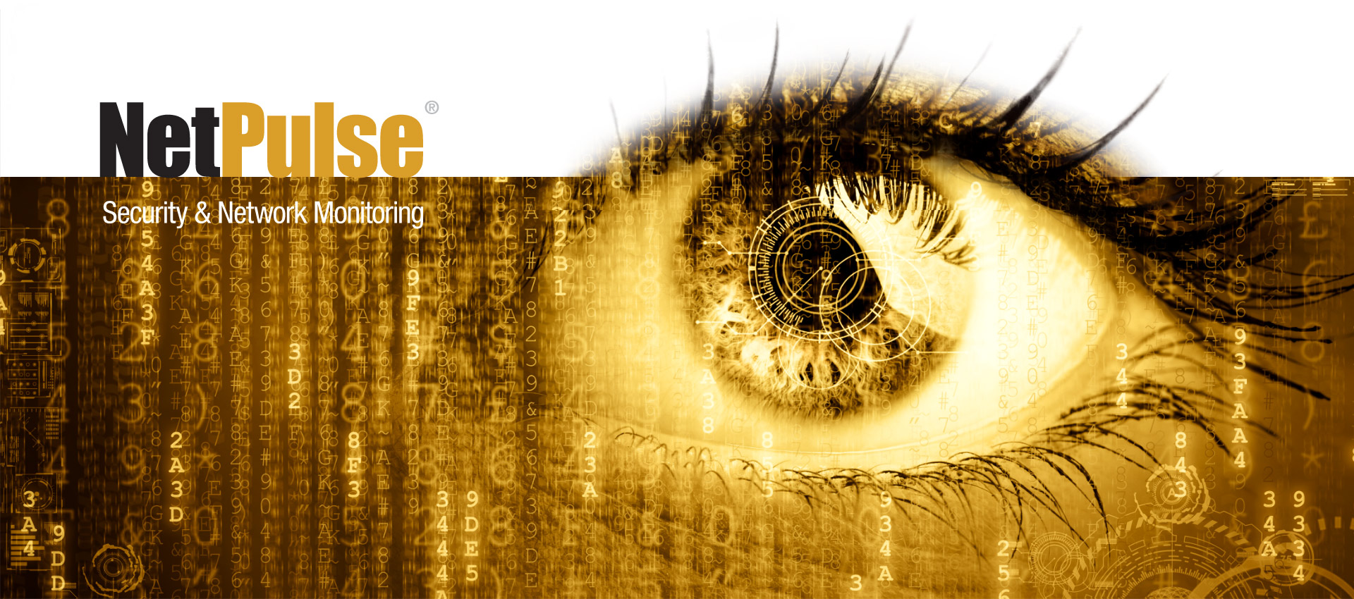 netpulse netpulse